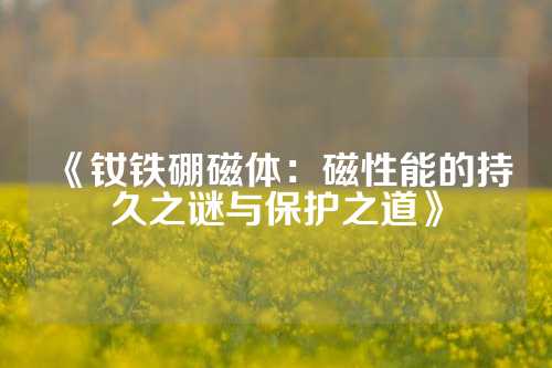 《钕铁硼磁体：磁性能的持久之谜与保护之道》